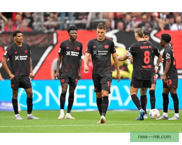 勒沃库森主场逆转霍芬海姆斩获关键胜利全场激情绝杀